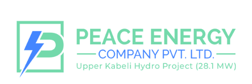 Power Energy Company Logo